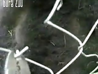 Loving Dakotas Cock Chunk 10