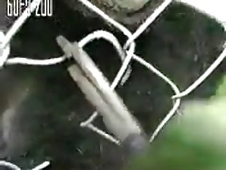 Loving Dakotas Cock Chunk 10