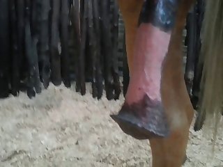 Nice 2 Beastforum Geles Masturbation
