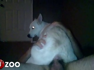 78130 Dog Fuck