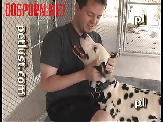 P108 Spotty Hump