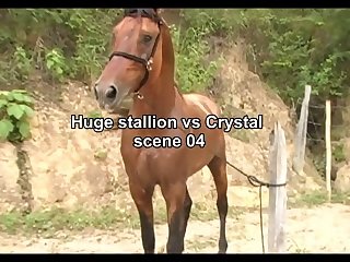 Huge Stallion Vs Crystal Sc04