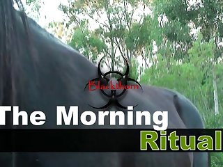 The Morning Ritual