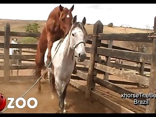 November 2014 Scene 01