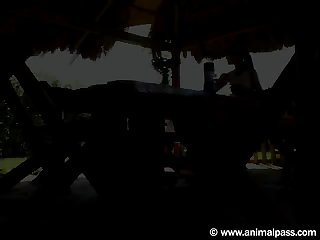 Tanksfeet Dog Porn