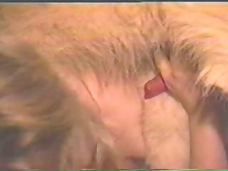Girl Has Sex With A Dog Porn
