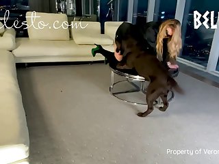 Zoophilie Chiens