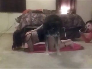 Man Fuck Dog Porn Video