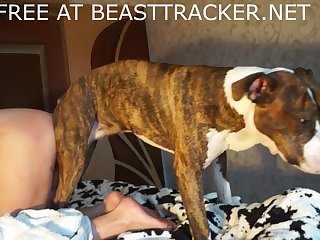 Orgasm By Dog Porn