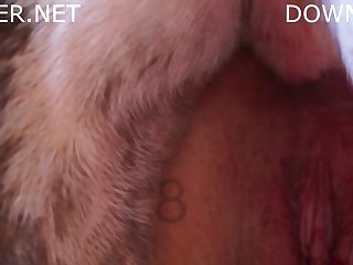 Orgasm By Dog Porn