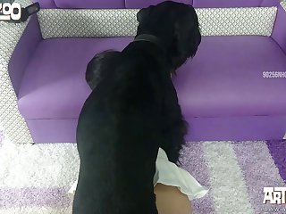 Fat Woman Dog Porn