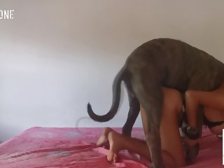 Lesbian Slave Dog Porn