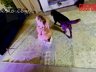 Busty Dog Porn
