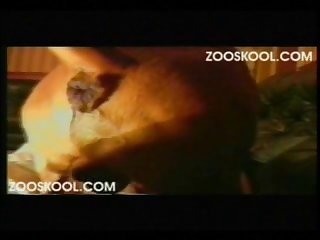 Zoophilie Animation