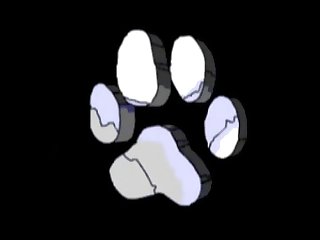 Human Fucking Dog Xxx
