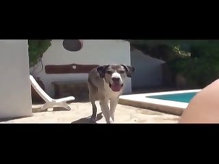 Colombian Dog Xxx