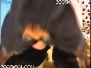 Girl Facefucked By Dog Xxx