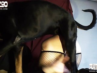 Dog Sex .nl