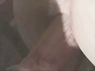 Baby Animal Sex