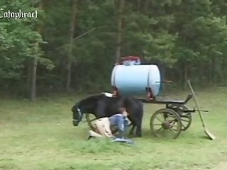Animal Sex Image