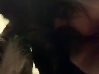 Dando Para O Cachorro