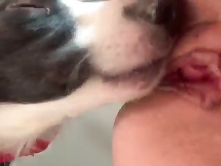 Rate this video