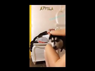 Sexy Japan Cute Teen Try Fuck With His Dog On Web Cam4 Part 3